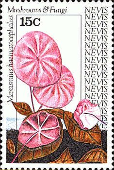 Briefmarke