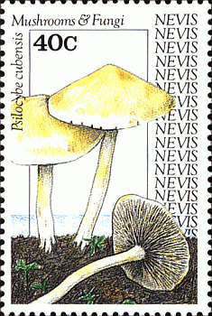 Briefmarke