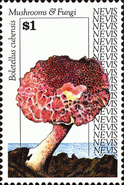 Briefmarke
