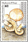 Briefmarke