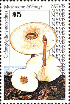 Briefmarke