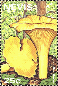 Briefmarke