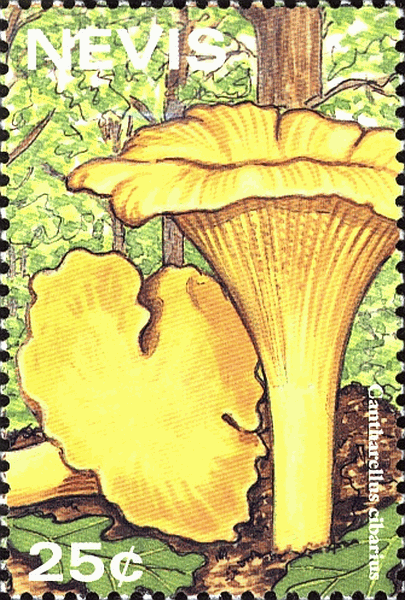 Briefmarke