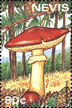Briefmarke