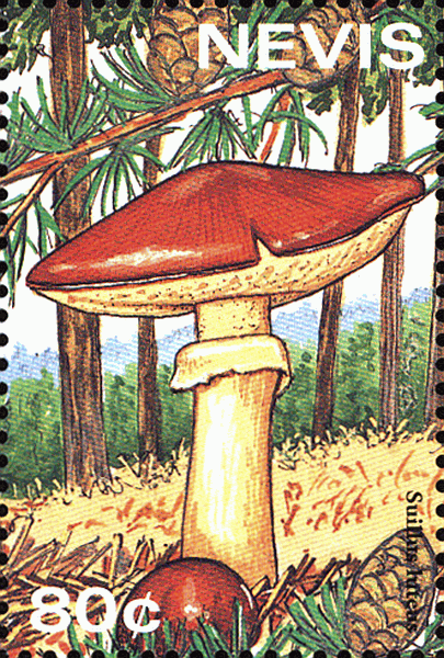 Briefmarke