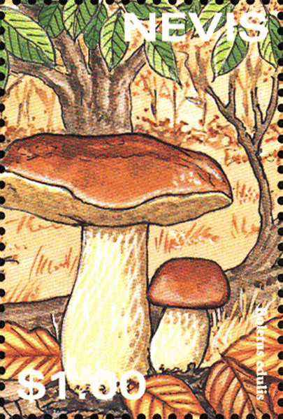 Briefmarke