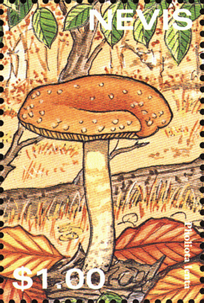 Briefmarke