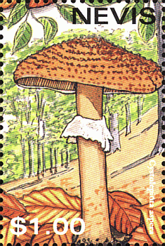 Briefmarke