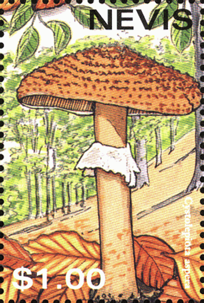Briefmarke