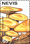 Briefmarke