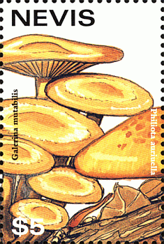 Briefmarke