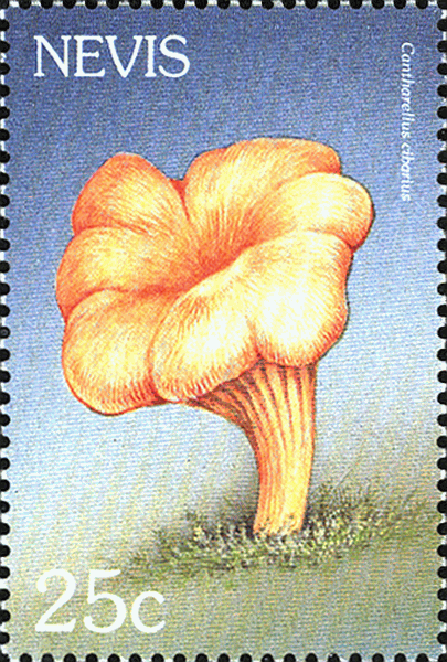 Briefmarke