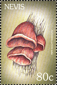 Briefmarke
