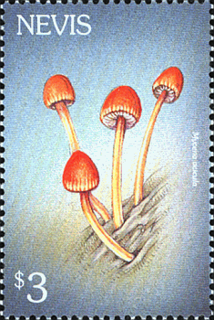 Briefmarke