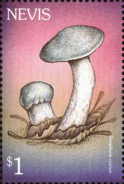 Briefmarke