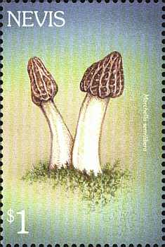 Briefmarke