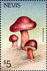 Briefmarke