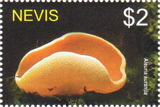 Briefmarke