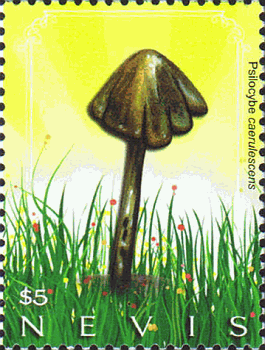 Briefmarke