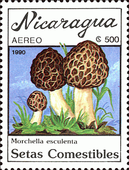 Briefmarke