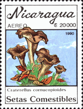 Briefmarke