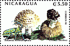 Briefmarke