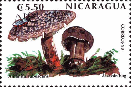 Briefmarke