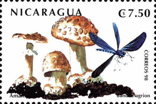 Briefmarke