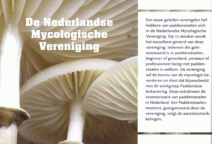 Markenheftchen