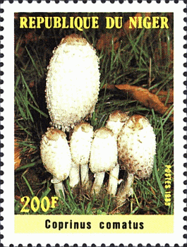 Briefmarke
