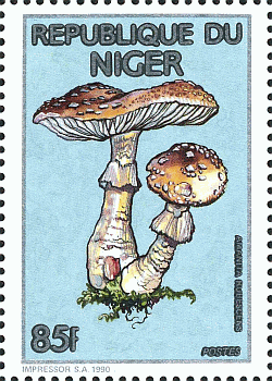 Briefmarke