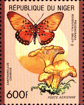 Briefmarke