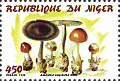 Briefmarke