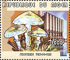 Briefmarke
