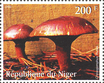 Briefmarke