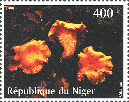 Briefmarke
