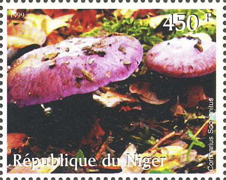 Briefmarke