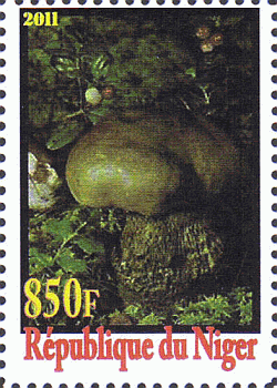 Briefmarke