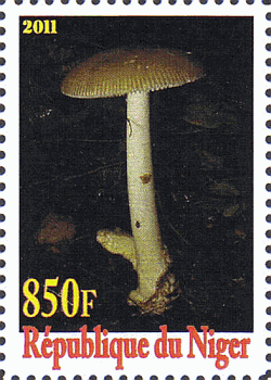 Briefmarke