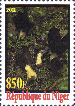 Briefmarke