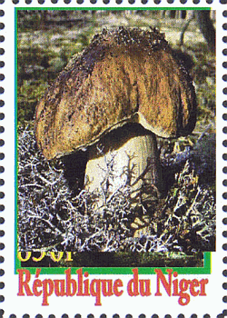 Briefmarke