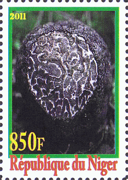 Briefmarke