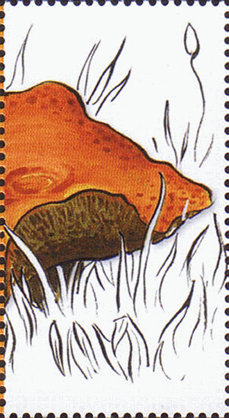 Briefmarke