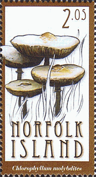 Briefmarke