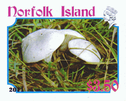 Briefmarke