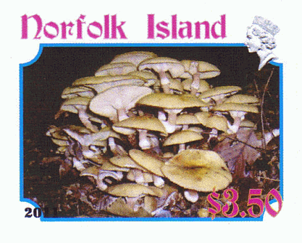 Briefmarke