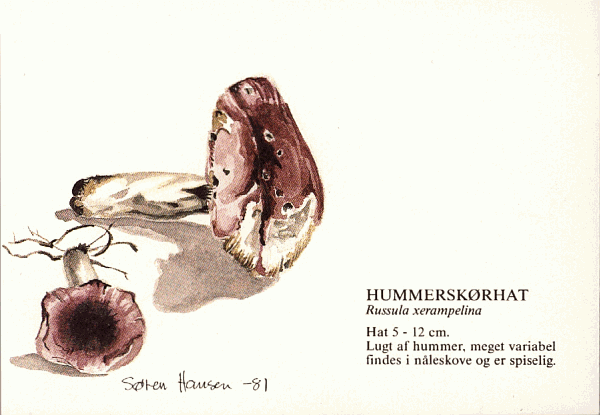 Sonderbriefumschlag