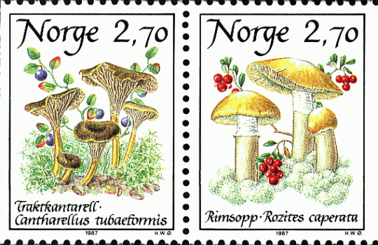 Zusammendruck