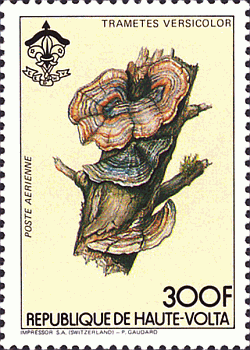 Briefmarke