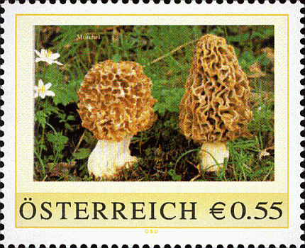 Briefmarke